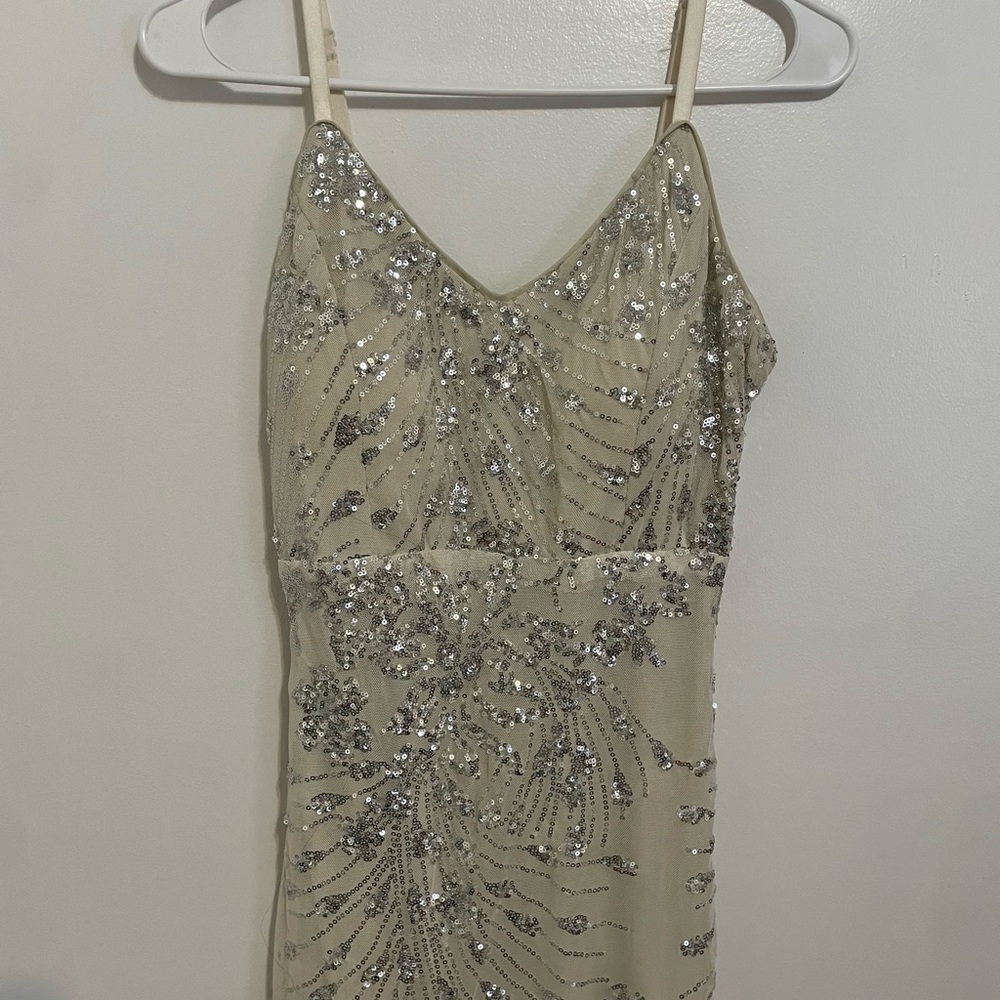 Fashion Nova Elegant Sequin Evening Gown